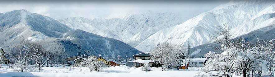 Snowbeds, Hakuba